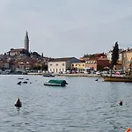 Marein Vikendica *