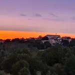 Marein Vikendica