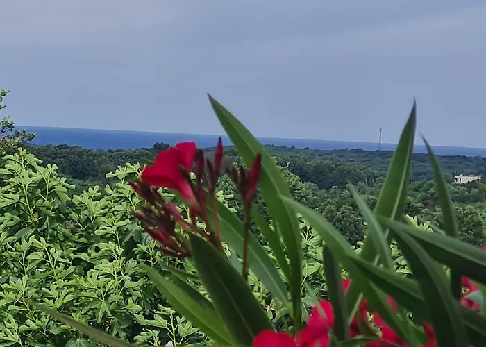 Ferienhaus Marein Poreč