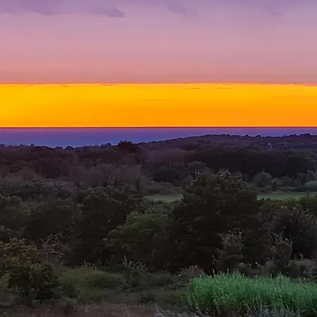 Marein * بوريتش