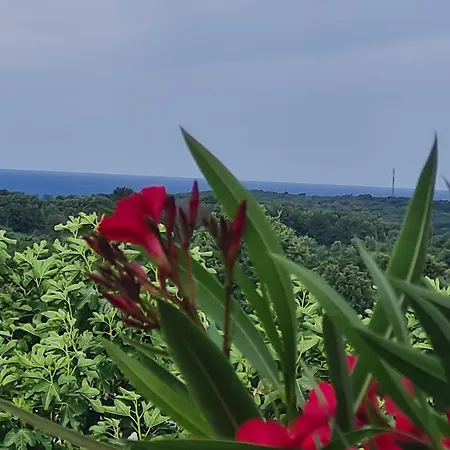 Tatil Evi Marein Poreč
